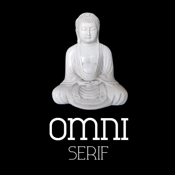 ArtyType Omni Serif type family