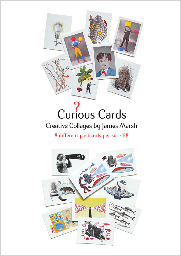 Curious-Cards-